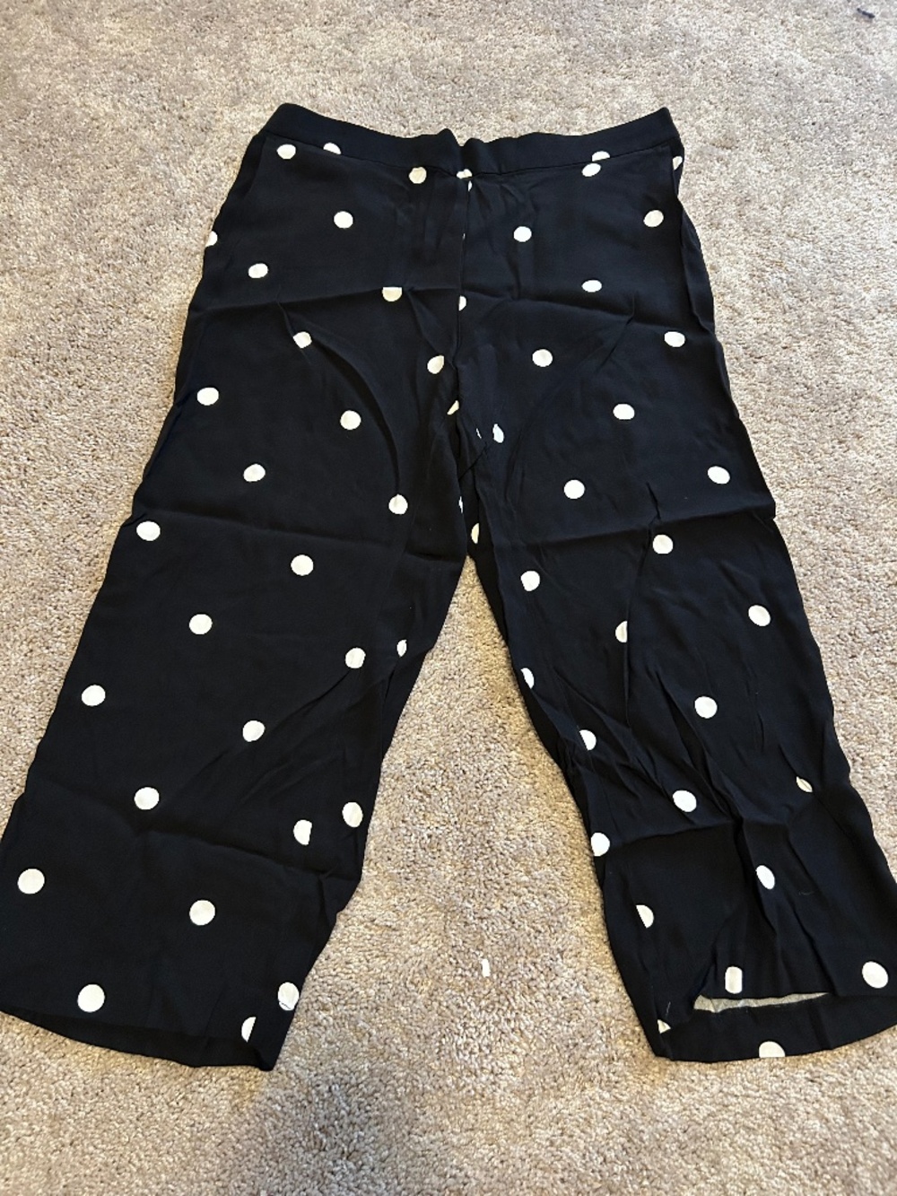 Loft polka dot pants